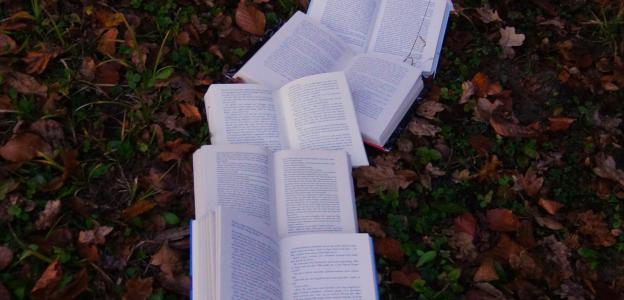 Translation Assistance Programs